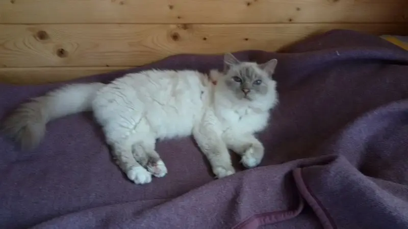 Condolence image of Katrin mit Felix im ♥