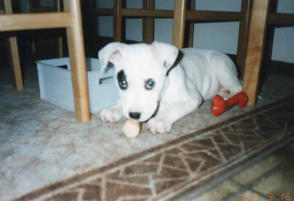 Image from Buffy