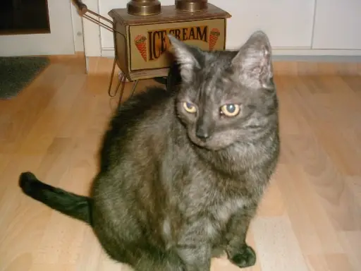 Condolence image of deiner Ilse