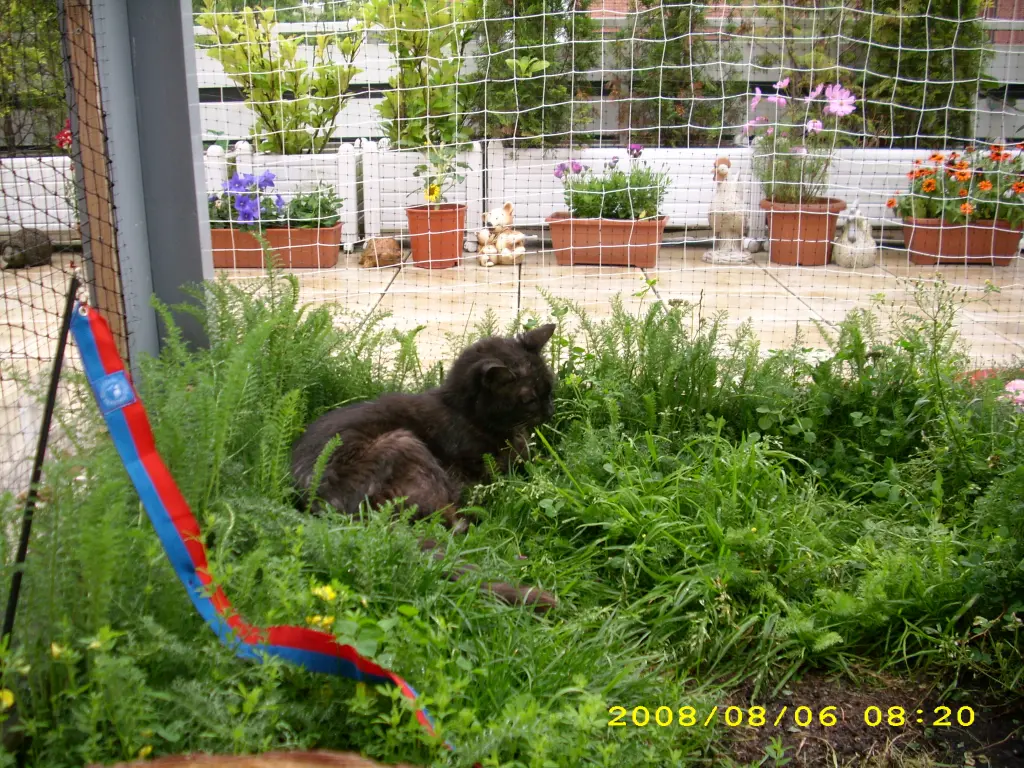 Image from Minna