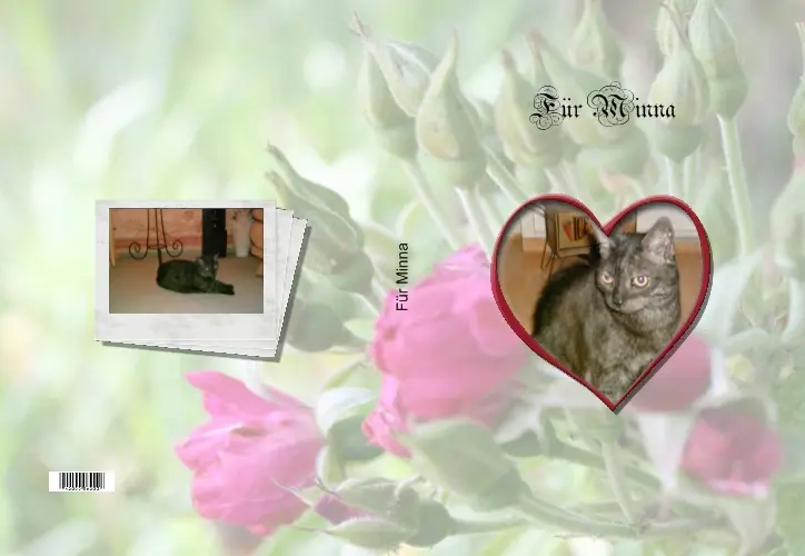 Image from Minna
