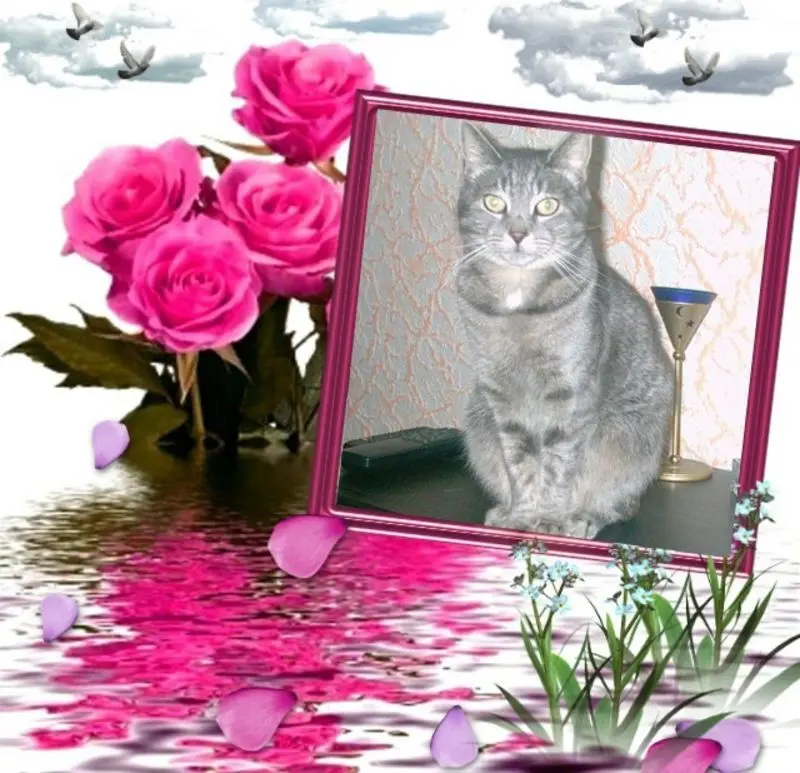 Condolence image of ❤️❤️❤️❤️❤️❤️❤️❤️❤️❤️❤️❤️❤️❤️