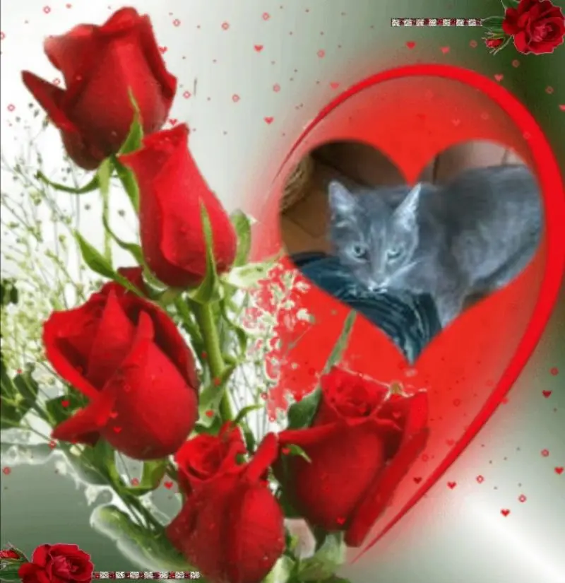 Condolence image of ❤️❤️❤️❤️❤️❤️❤️❤️❤️❤️❤️❤️❤️❤️