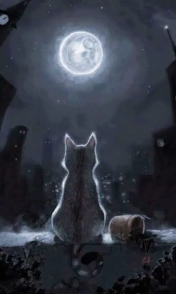 Condolence image of ♥Sฅ^•ﻌ•^ฅB♥