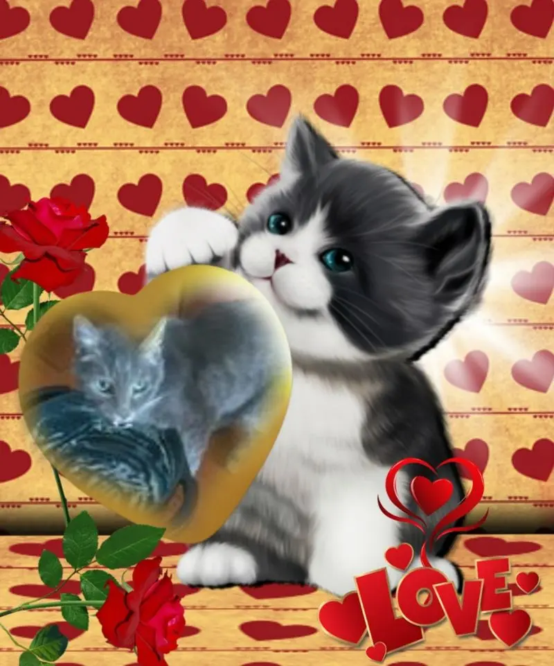 Condolence image of ❤️❤️❤️❤️❤️❤️❤️❤️❤️❤️❤️❤️❤️❤️