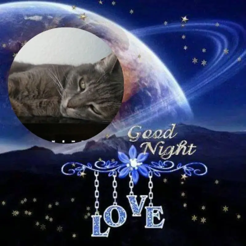 Condolence image of Gute Nacht❤️❤️❤️