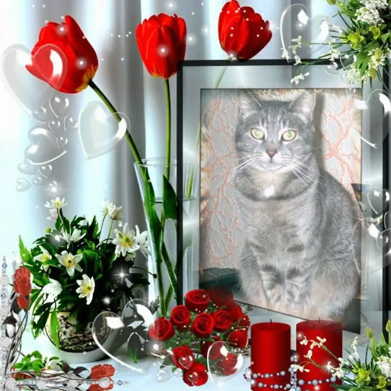 Condolence image of Guten Morgen❤️❤️❤️