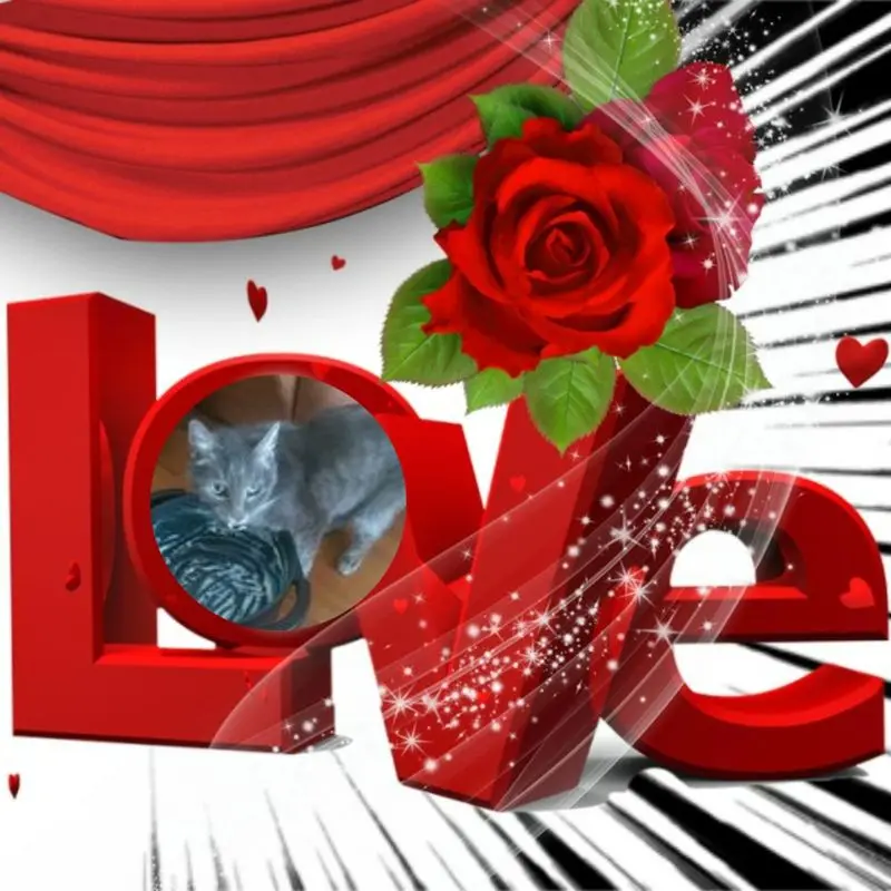 Condolence image of ❤️❤️❤️❤️❤️❤️❤️❤️❤️❤️❤️❤️❤️❤️