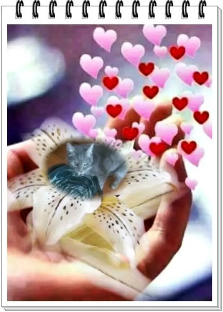 Condolence image of ❤️❤️❤️❤️❤️❤️❤️❤️❤️❤️❤️❤️❤️❤️