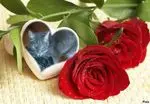 Condolence image of Guten Morgen❤️❤️❤️