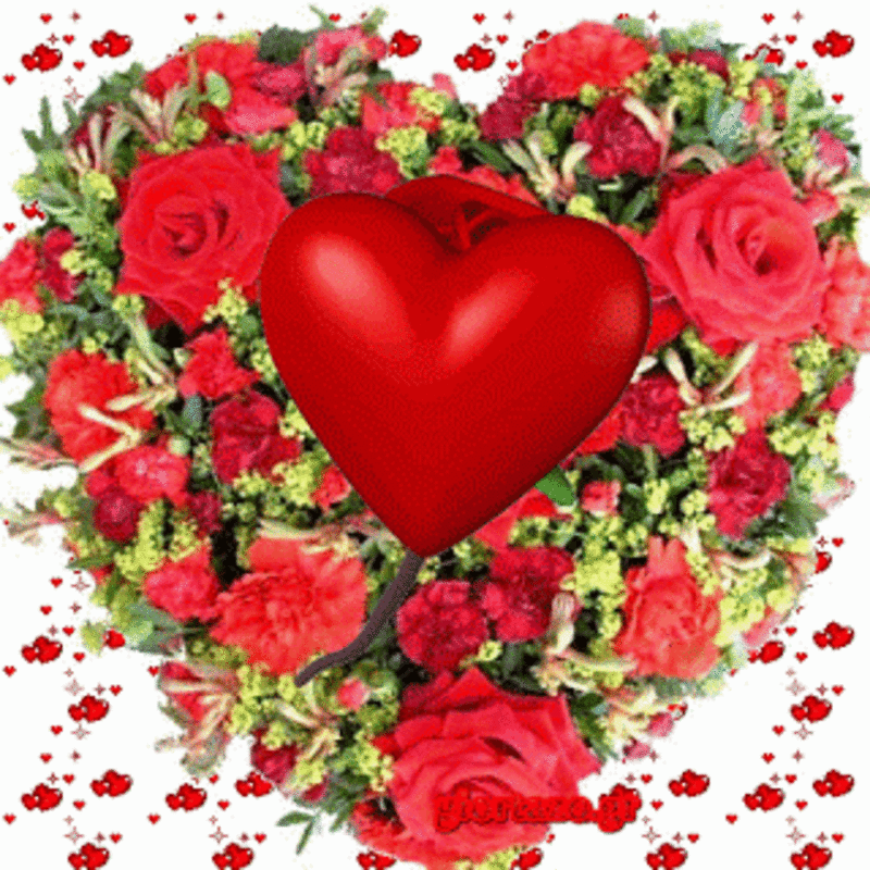 Condolence image of Sonntags❤️Rosen❤️❤️❤️❤️❤️❤️