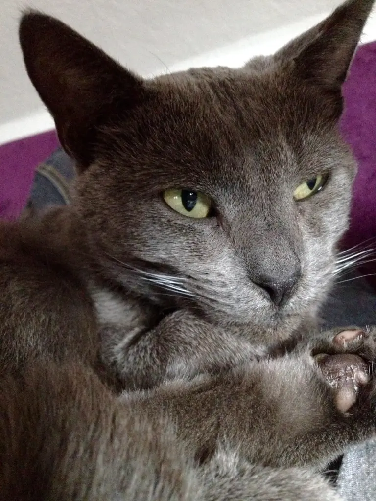 Condolence image of Sabine 