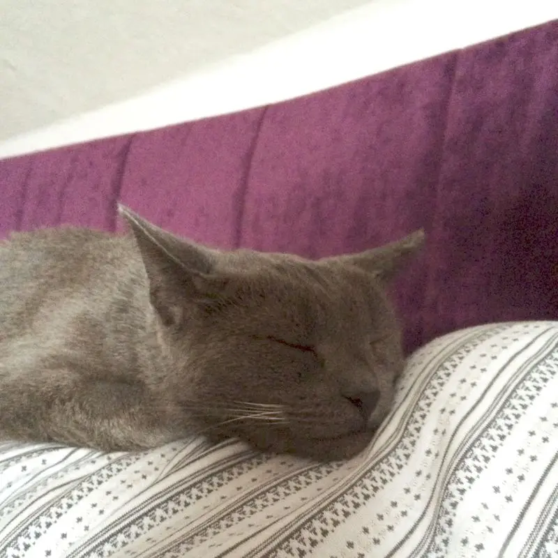 Condolence image of Sabine 