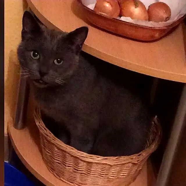 Condolence image of Sabine