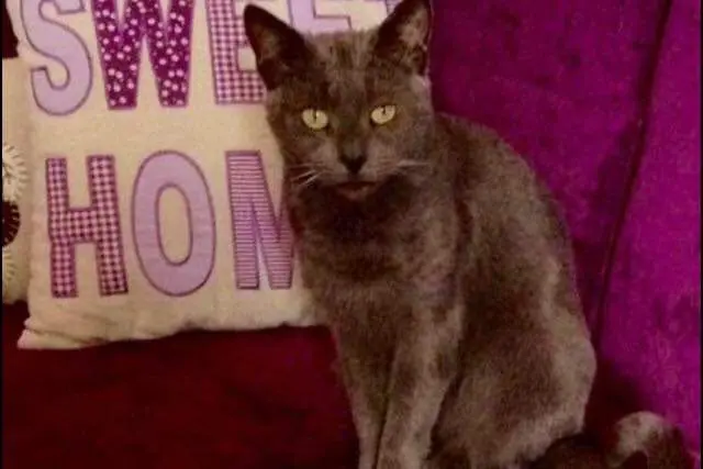 Condolence image of Sabine 