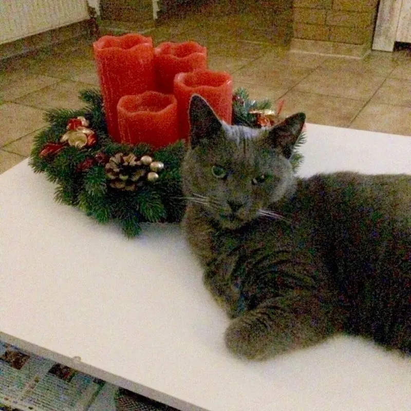 Condolence image of Sabine