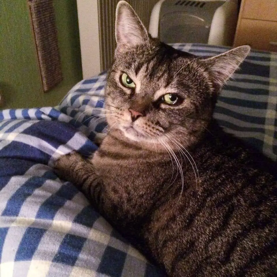 Condolence image of Sabine