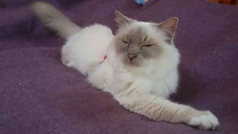 Condolence image of Katrin mit Felix im ♥
