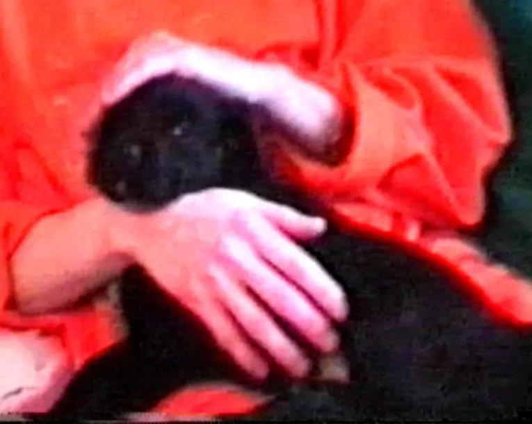 Image from Cujo