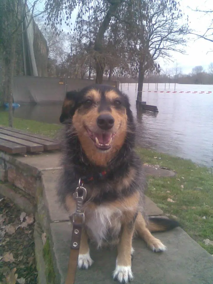 Image from Rusty