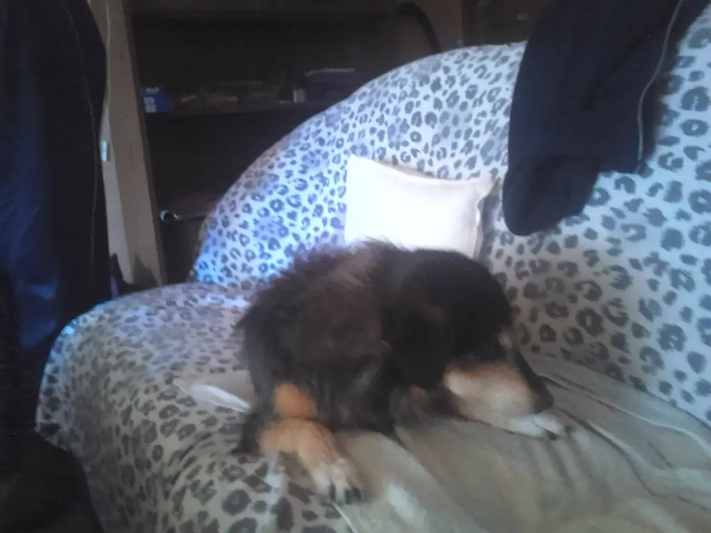 Image from Rusty