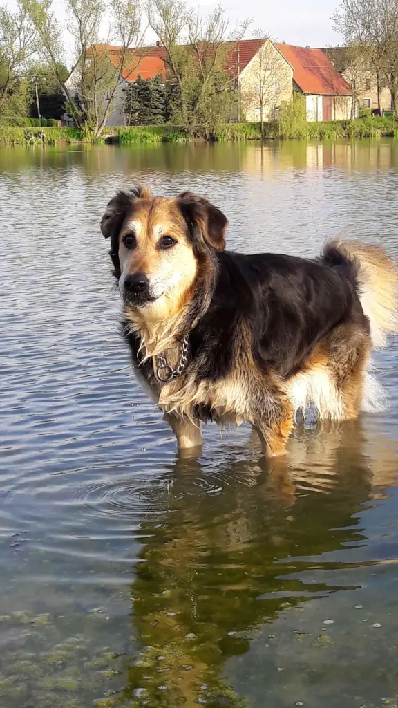 Condolence image of Anja