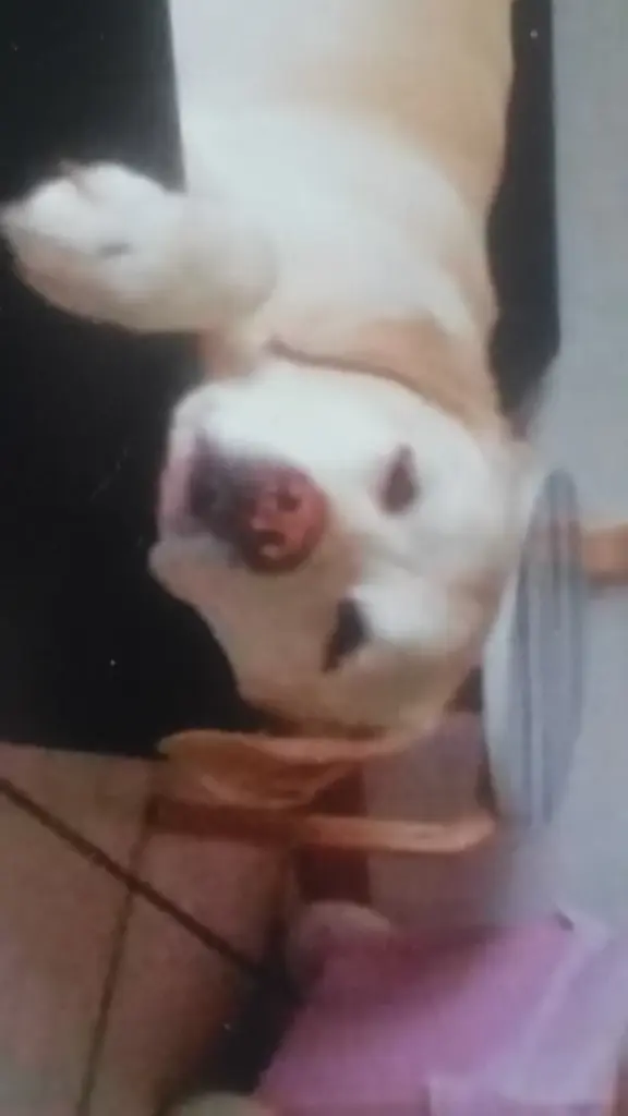 Condolence image of Laura Jane