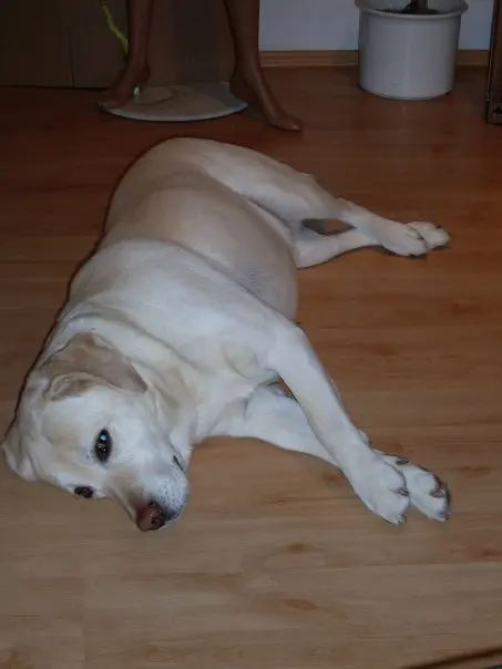Condolence image of Angela
