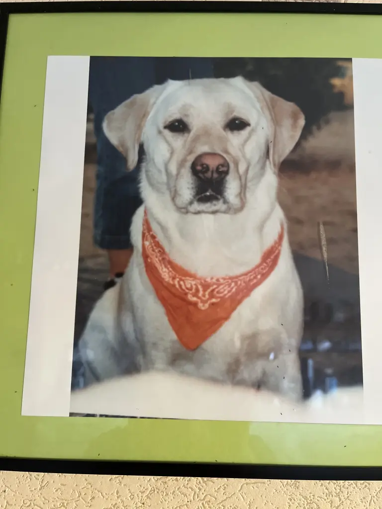 Condolence image of Angela