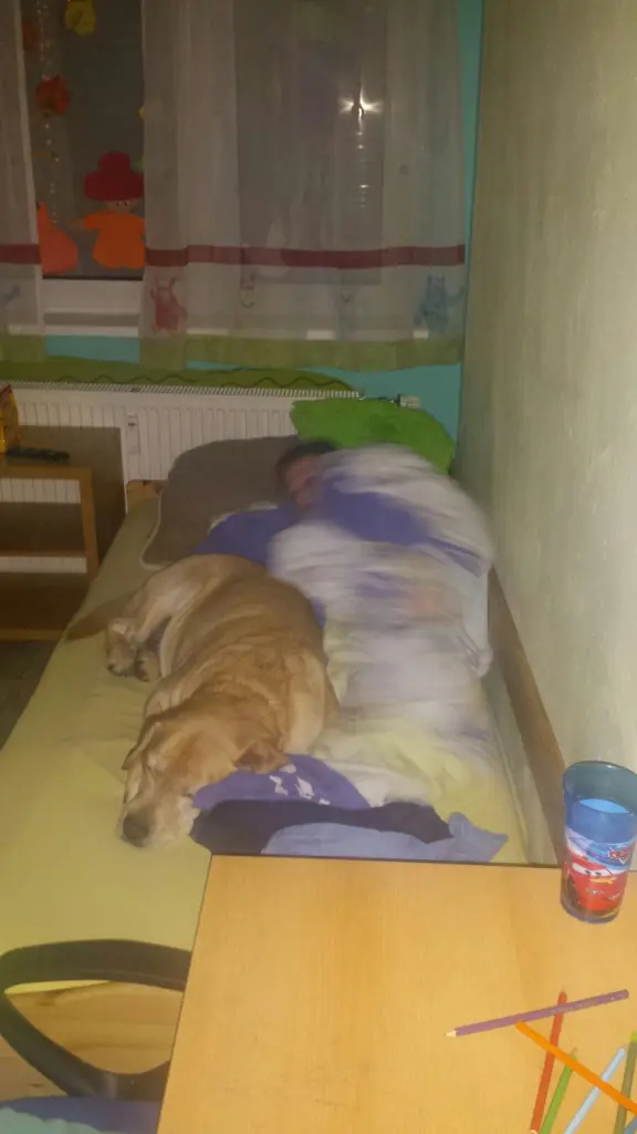 Image from Balou