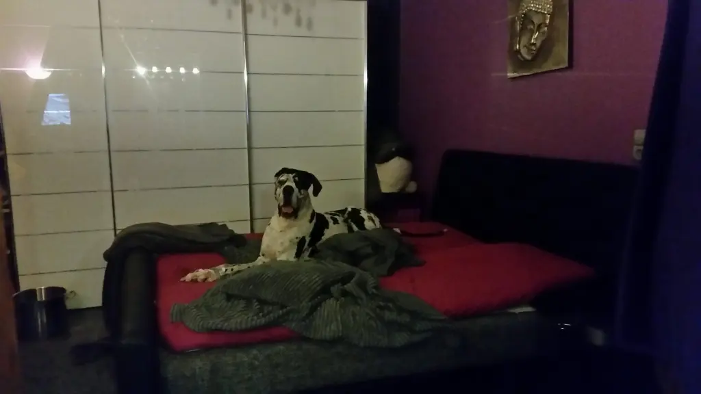 Condolence image of Daniela mit Sniper im Herzen