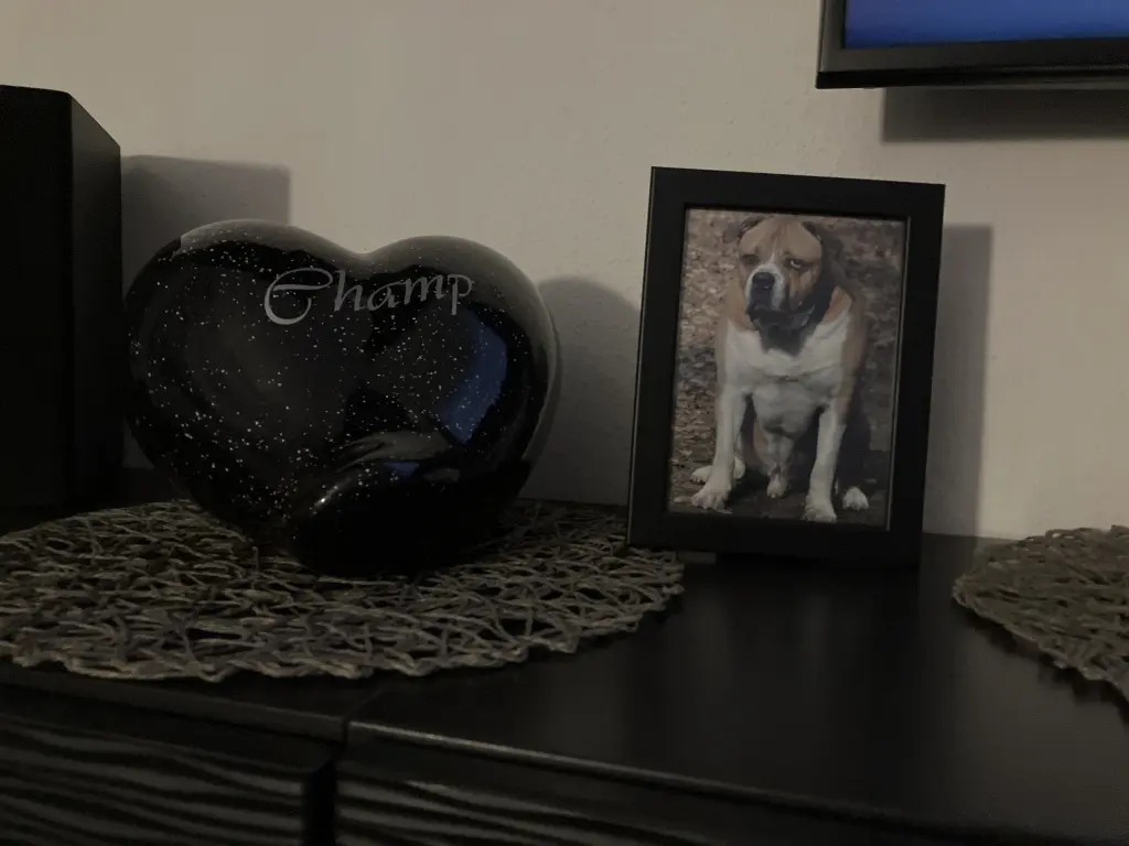 Condolence image of Deine Mama Sandra.S