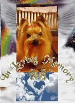 Image from Balou