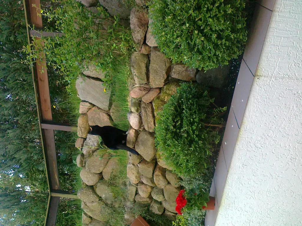 Image from MIA