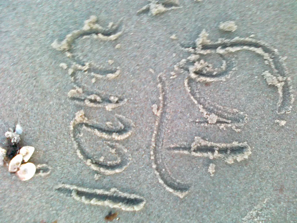 Image from MIA