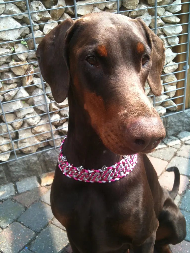 Image from Nuria