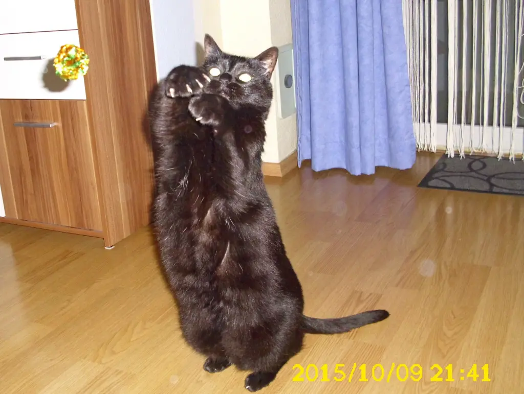Condolence image of Unbekannt