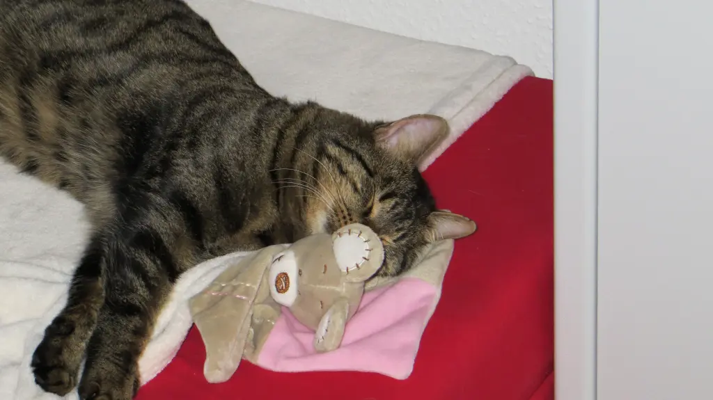 Condolence image of Carmen und Mario