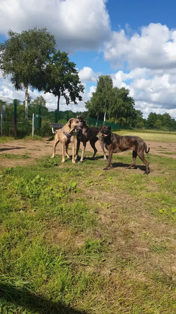 Andachtsbild von Sebastian