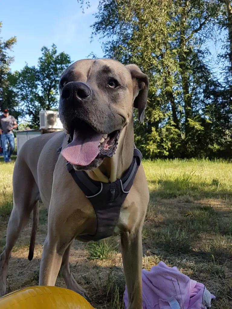 Andachtsbild von Michaela