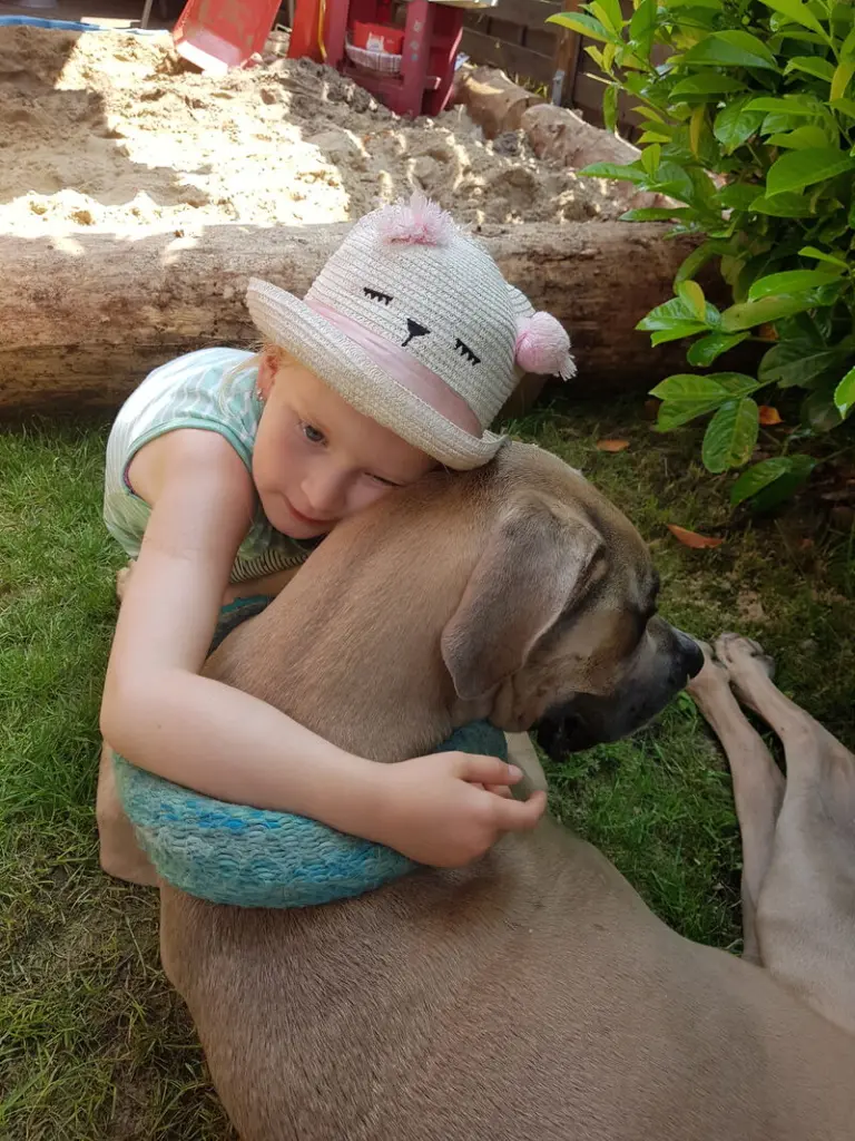 Andachtsbild von Herzenshund