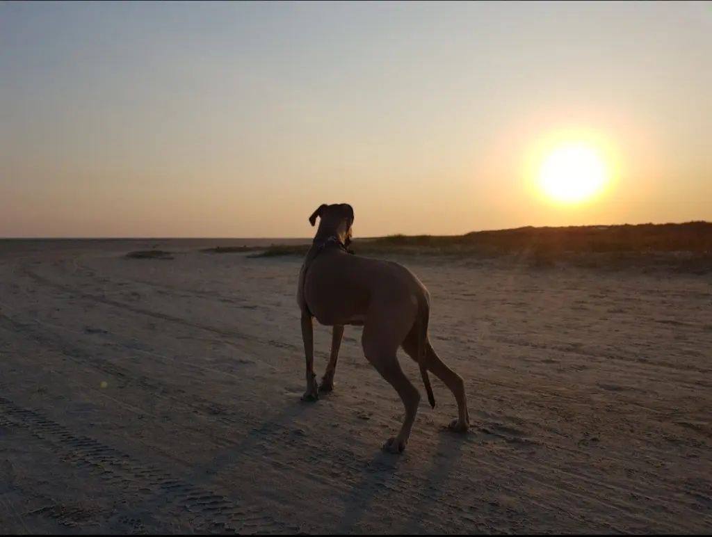 Andachtsbild von Melanie