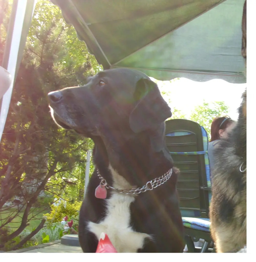 Image from Jake