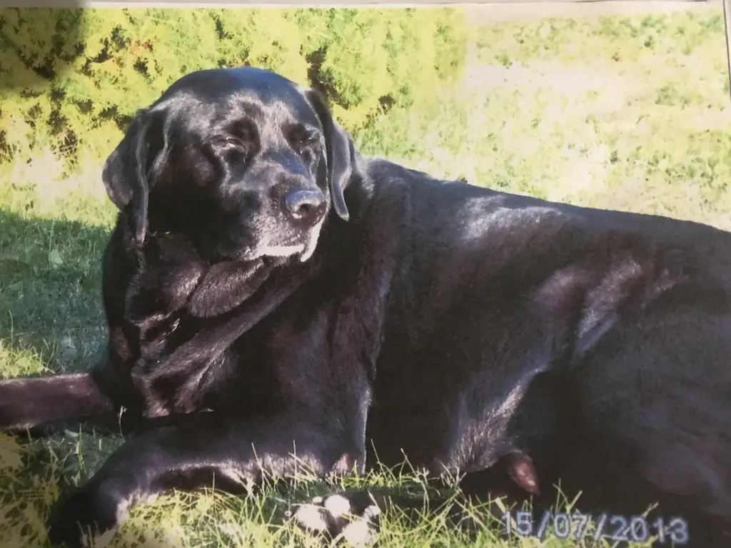 Condolence image of Jana