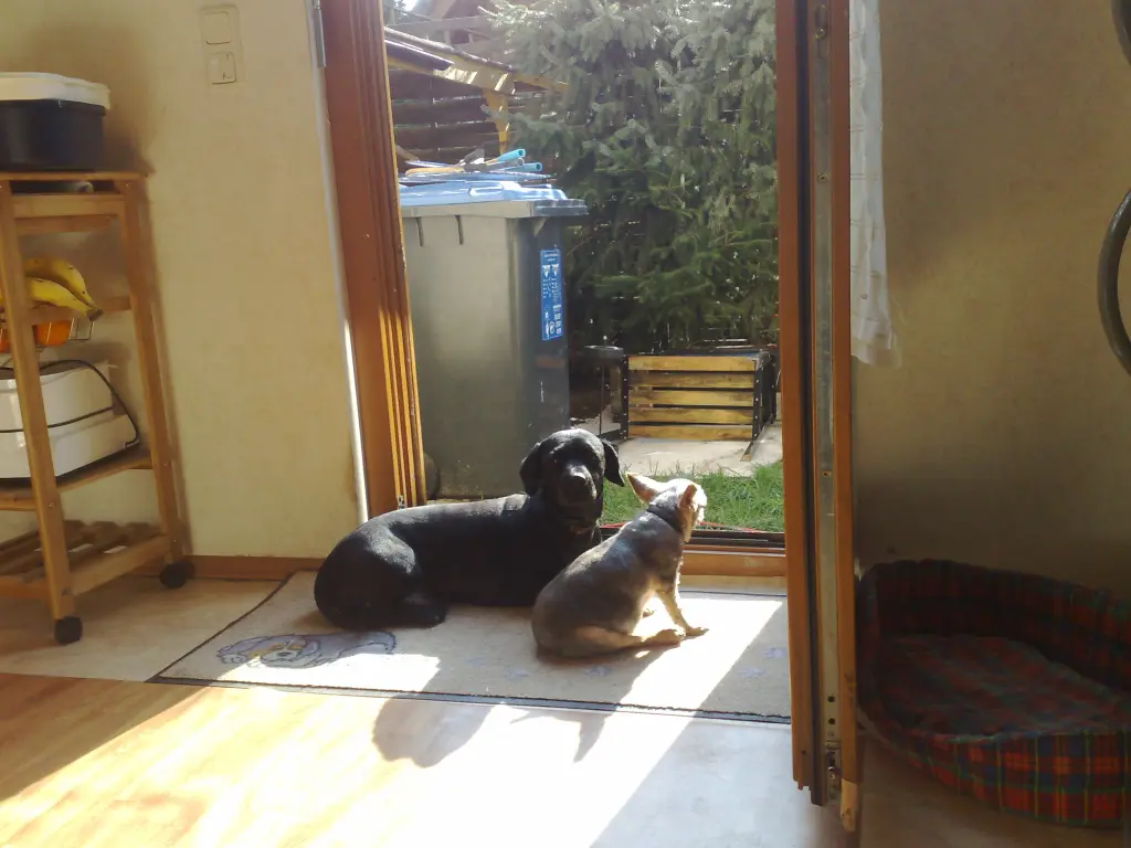Image from Bobby