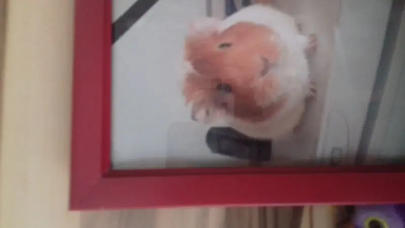 Condolence image of sindy