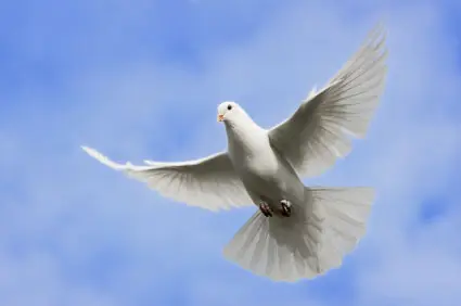 Condolence image of Unbekannt