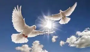 Condolence image of Unbekannt