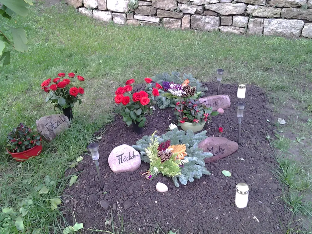 Condolence image of Petra