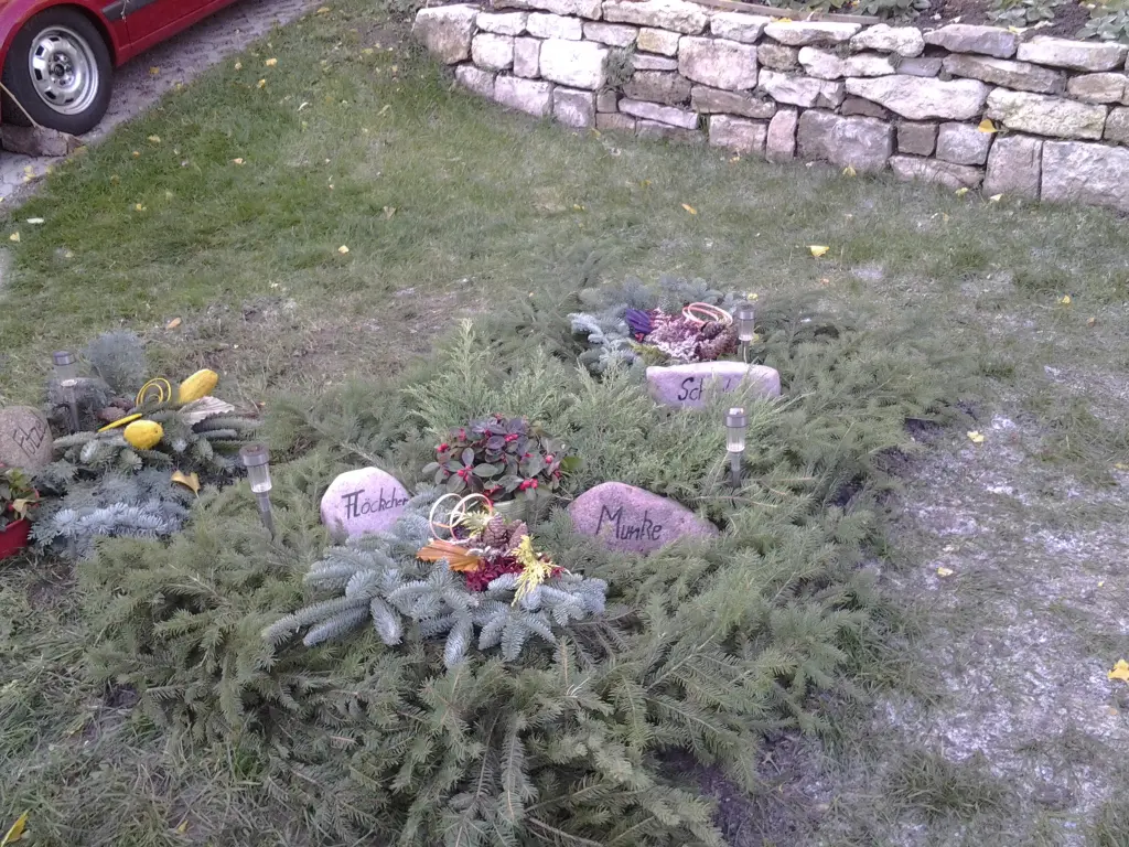 Image from Munke und Flocke , Schiste